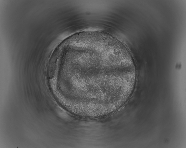X0000092280337200710121408