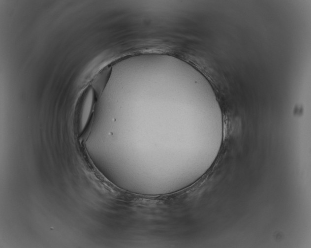 X0000092280339200710121408