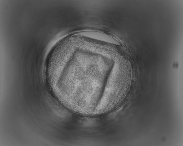 X0000092280343200710121408