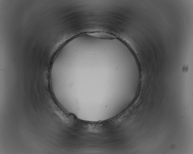 X0000092280345200710121408