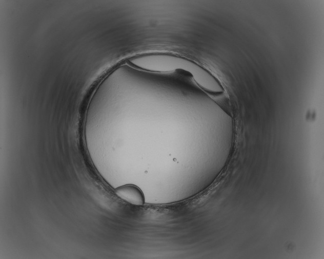 X0000092280346200710121408