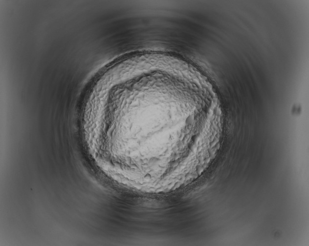 X0000092280347200710121408