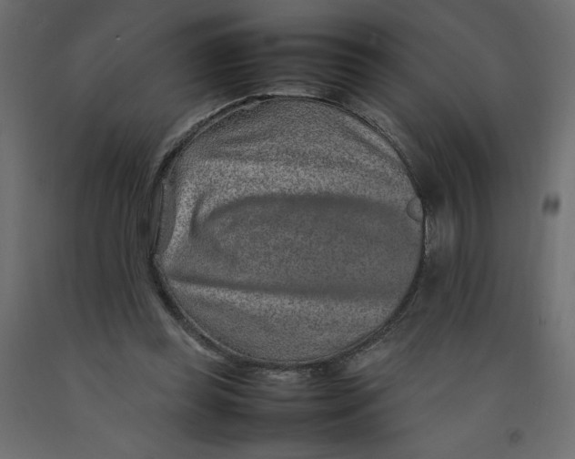 X0000092280349200710121408