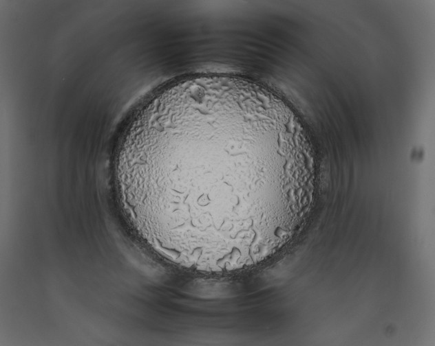 X0000092280351200710121408
