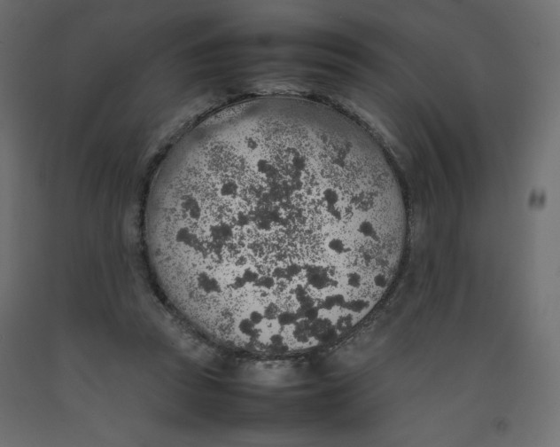 X0000092280353200710121408