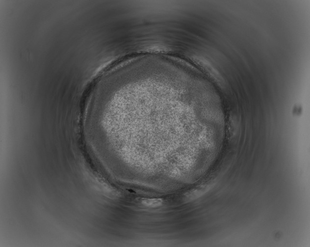 X0000092280355200710121408