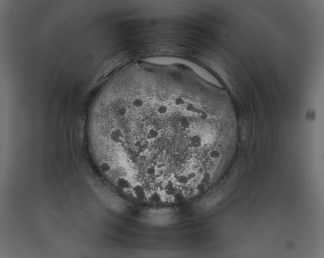 X0000092280357200710121408