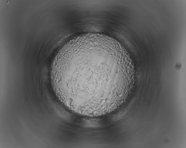 X0000092280359200710121408
