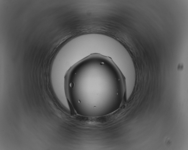 X0000092280360200710121408