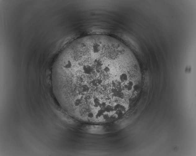 X0000092280361200710121408