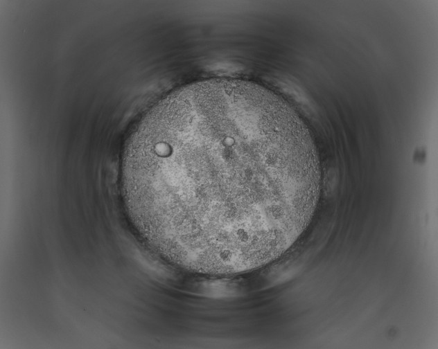 X0000092280365200710121408
