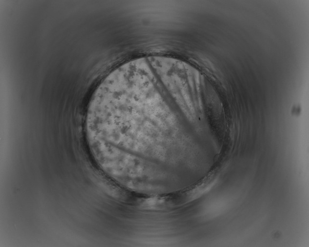X0000092280366200710121408