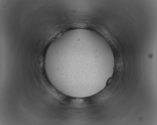 X0000092280374200710121408