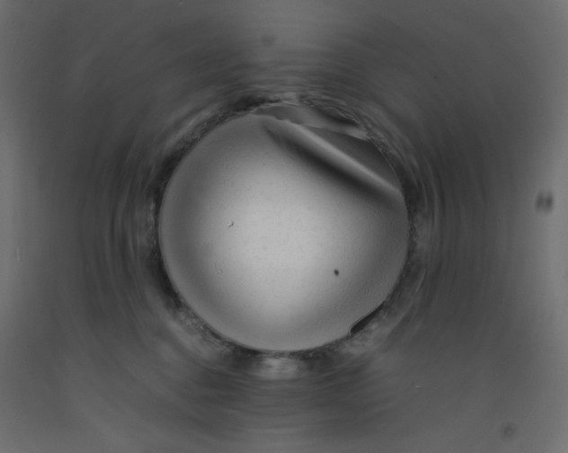 X0000092280376200710121408