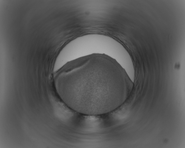 X0000092280380200710121409