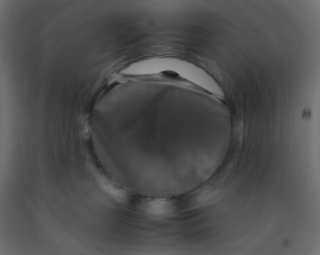 X0000092280383200710121409