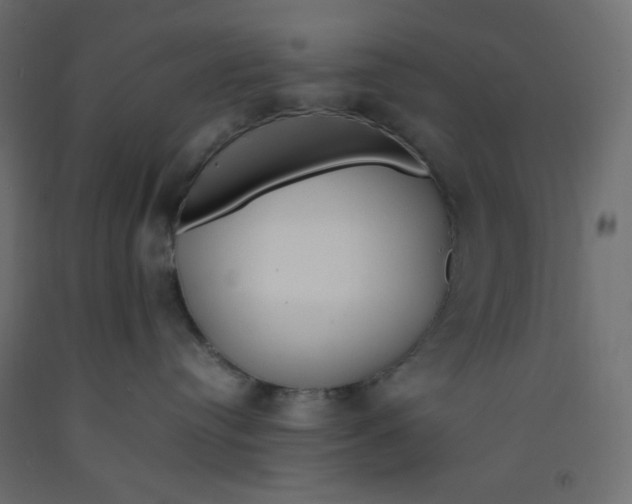 X0000092280384200710121409