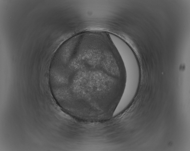 X0000092280385200710121408