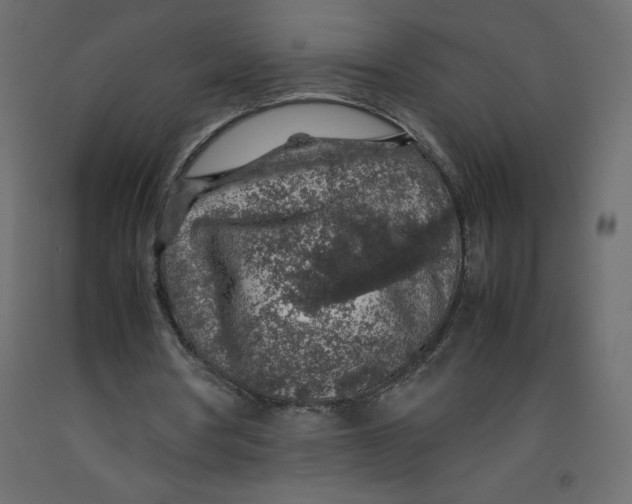 X0000092280386200710121408