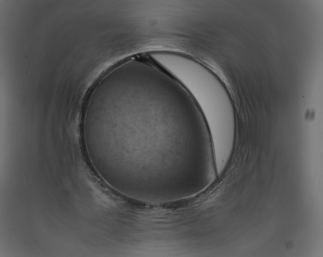 X0000092280387200710121408