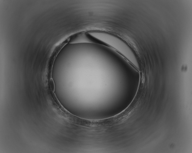X0000092280388200710121408