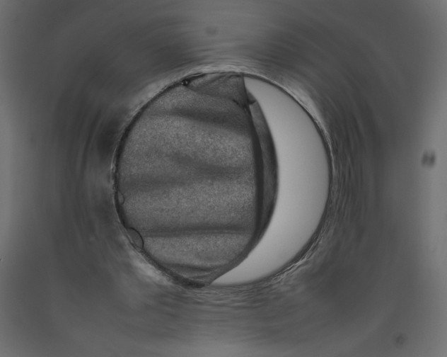 X0000092280389200710121408