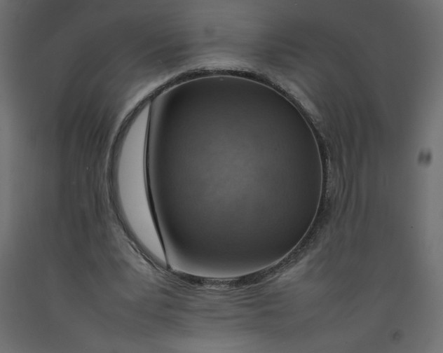 X0000092280391200710121408