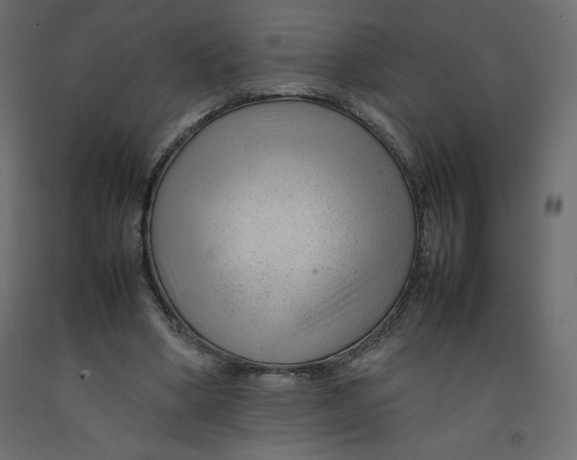 X0000092280394200710121408