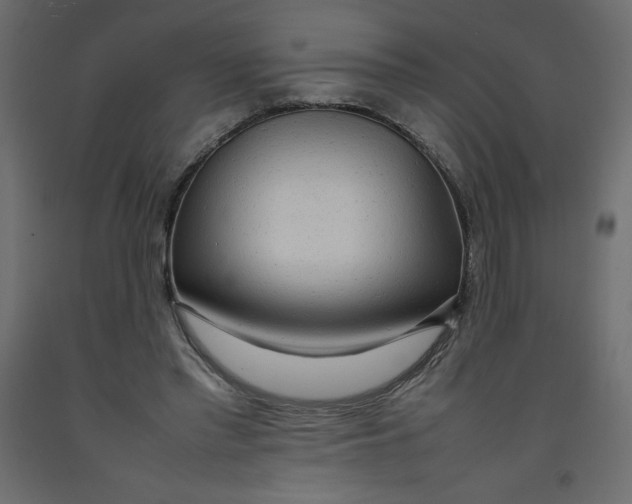X0000092280397200710121408