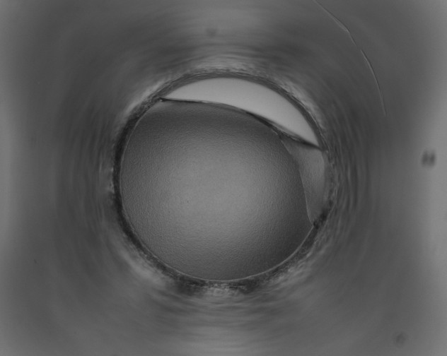 X0000092280399200710121408