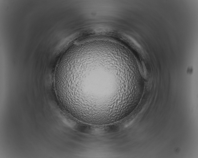 X0000092280405200710121408