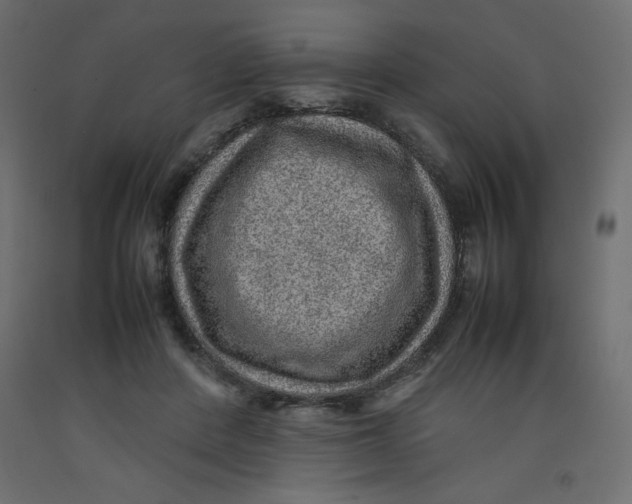 X0000092280408200710121408