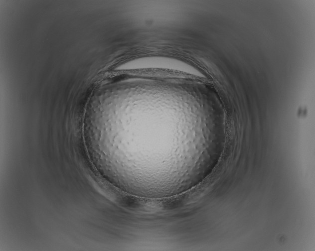 X0000092280409200710121408