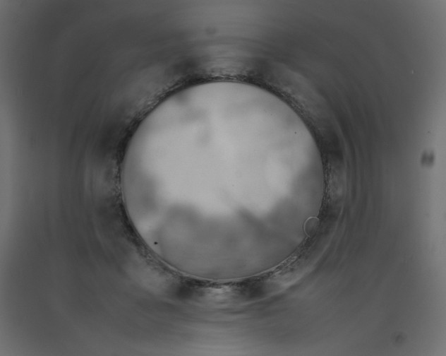 X0000092280411200710121408