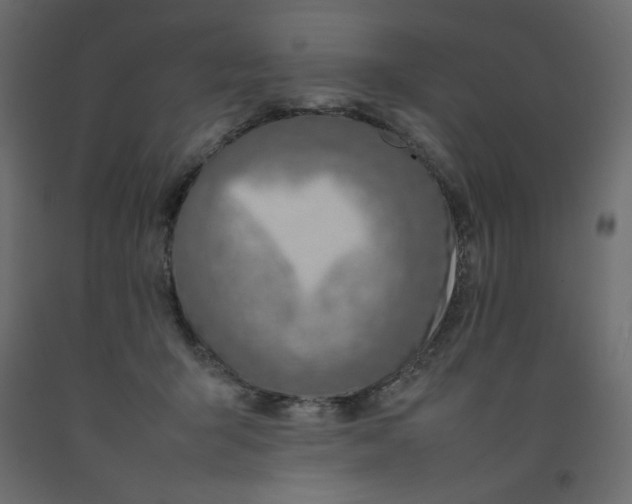 X0000092280415200710121408