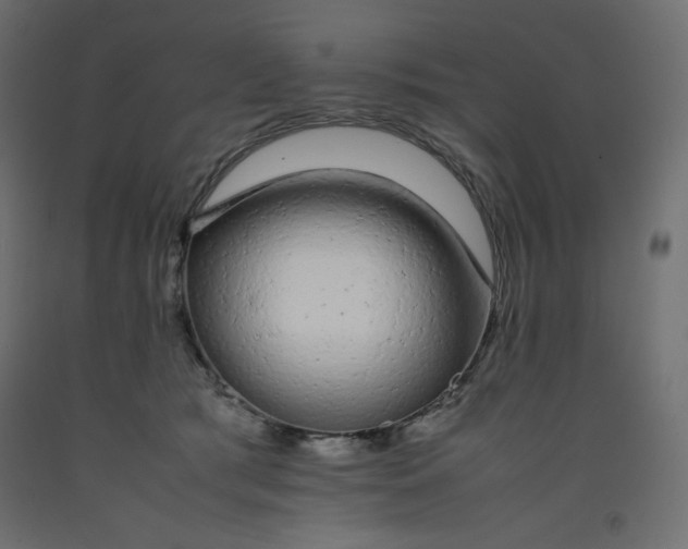 X0000092280417200710121408