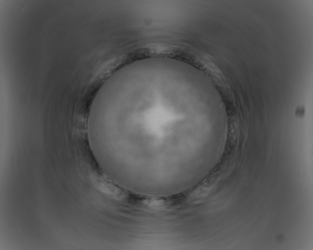 X0000092280419200710121408