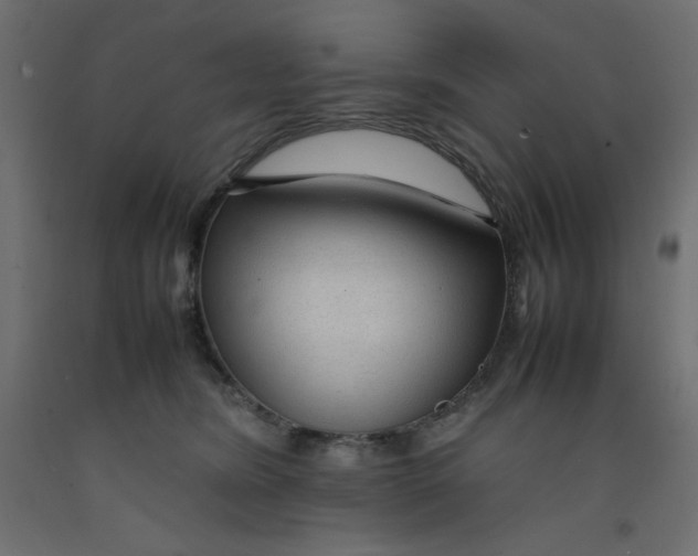 X0000092280420200710121408