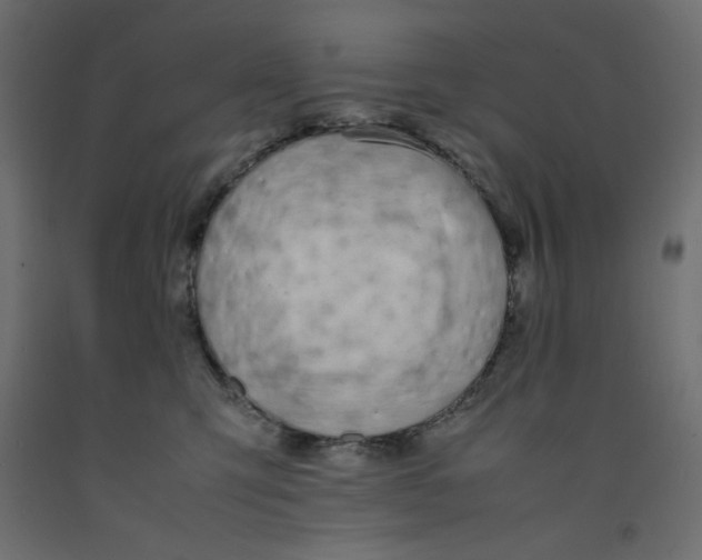 X0000092280423200710121407