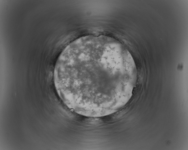 X0000092280427200710121407