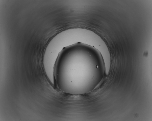 X0000092280428200710121407