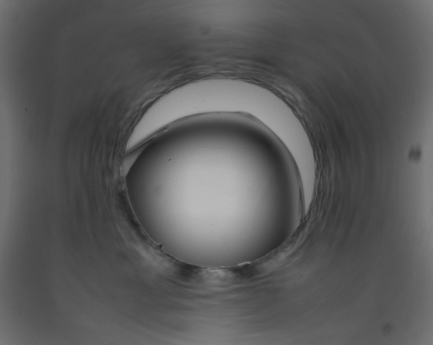 X0000092280429200710121407