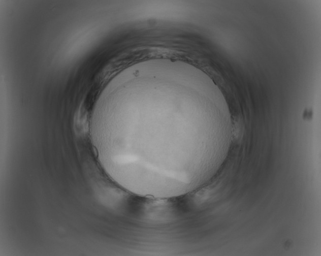 X0000092280431200710121407