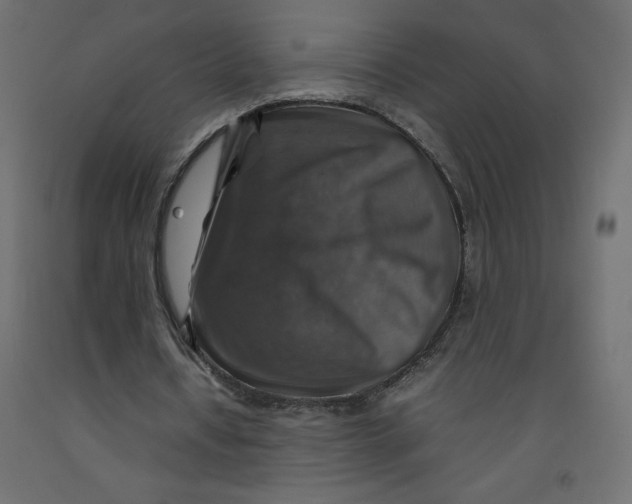 X0000092280434200710121407