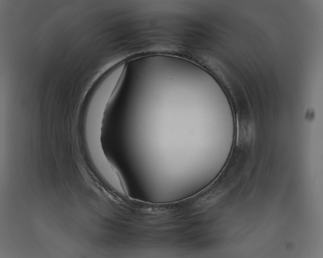 X0000092280435200710121407