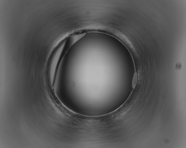X0000092280436200710121407