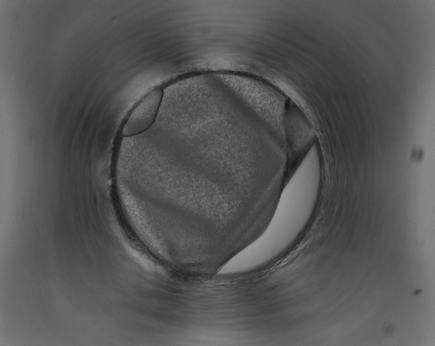 X0000092280438200710121407