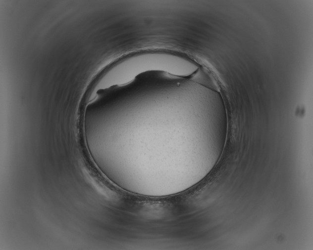 X0000092280439200710121407