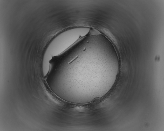 X0000092280441200710121407
