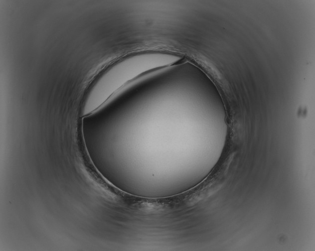 X0000092280442200710121407